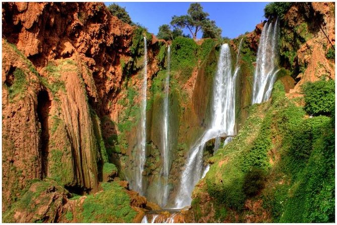 Ouzoud Waterfalls Full-Day Tour From Marrakech - Tour Details