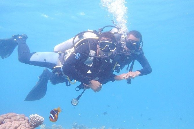 PADI Open Water Course From Hurghada El Gouna Makadi Bay Soma Bay Safaga - Course Overview