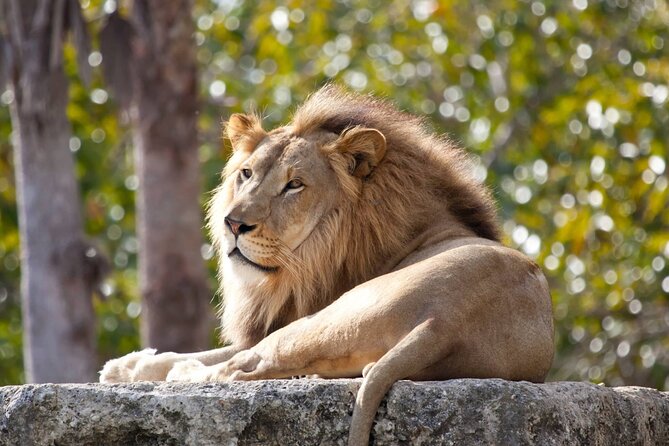 Pafos Zoo Visit & Blue Lagoon Cruise With Local Guide - Paphos - Additional Information