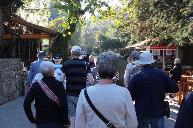 Panaromic Ephesus and Surroundings Small Group & Private Tour - Highlights