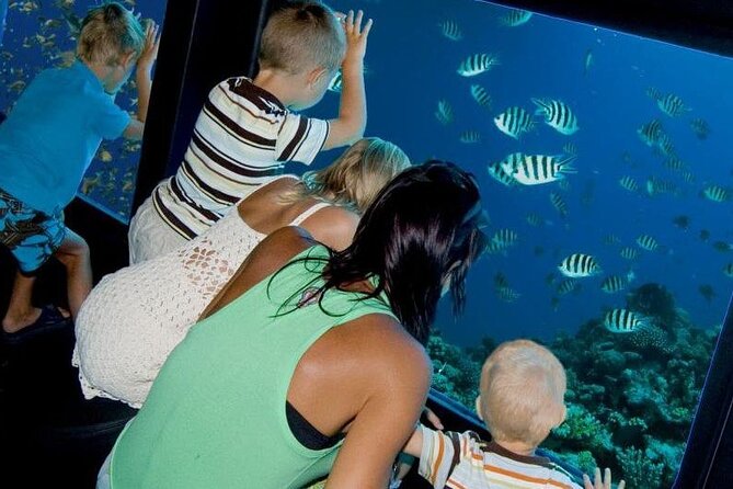 Paradise Conquest Semi-Submarine With Snorkeling From Hurghada - Tour Details