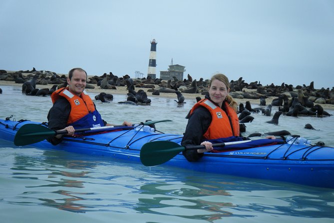 Pelican Point Kayaking Half-Day Tour - Tour Highlights