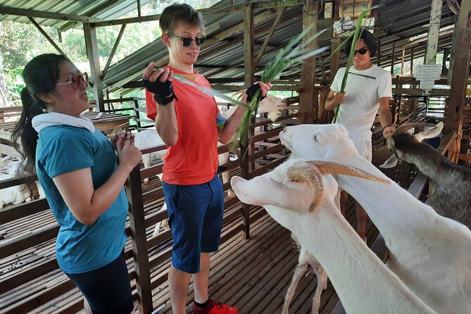 Penang Countryside Small Group Cycling Tour by Matahari