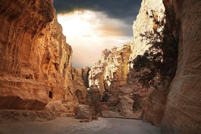 Petra Privet Tour From Tel Aviv