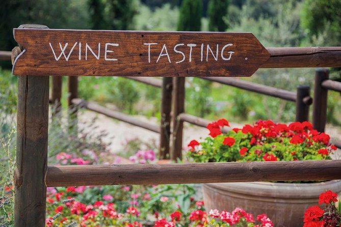 Piedmont Wine Tasting Tours Experience, Italy - Tour Details