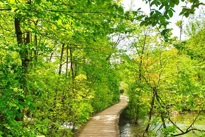 Plitvice Lakes and Deer Valley From Zagreb