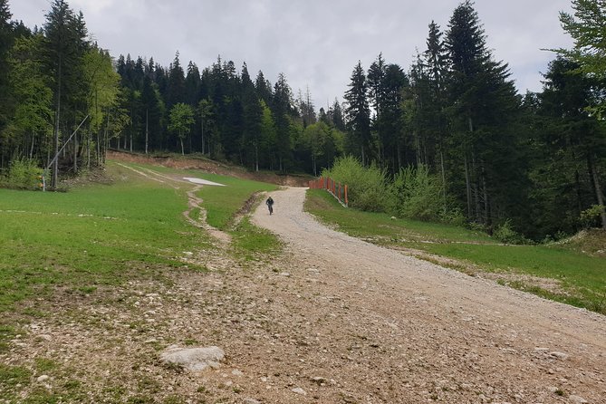 POIANA BRASOV and POSTAVARU CHALET Ebike Tour (BRASOV) - Inclusions