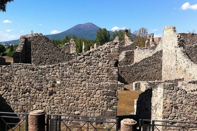 Pompeii and Vesuvius Experience From Naples - Skip the Line - - Tour Highlights