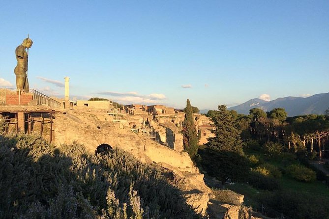 Pompeii & Naples: Full Day Tour With Your Local Guide - Operator Information
