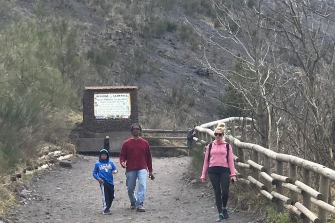 Pompeii Skip-The-Line and Mt Vesuvius With Lunch&Winetasting From Naples Port - Important Information