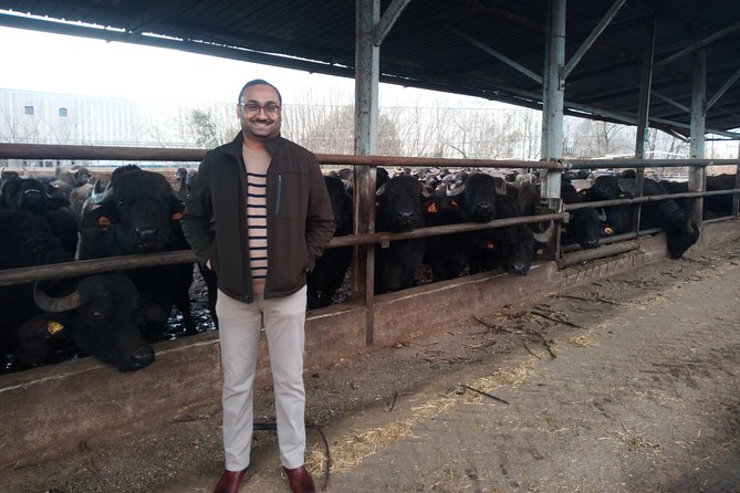 Pompeii Skiptheline and Mt Vesuvius With Lunch&Winetasting From Rome - Departure and Pickup Information