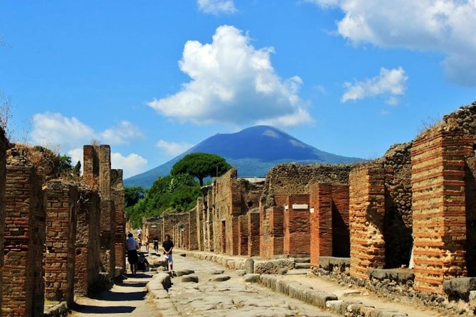 Pompeii & Vesuvius Guided Tour With Wine Tasting & Easy Lunch - Tour Overview
