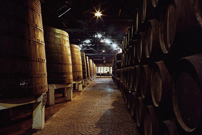 Porto Private Tour From Lisbon With Wine Tasting - Tour Highlights