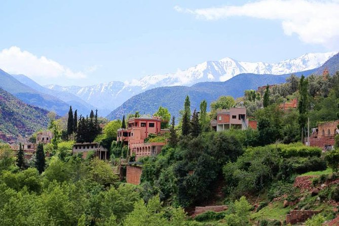 Privat Day Trip to Ourika Valley From Marrakech - Inclusions