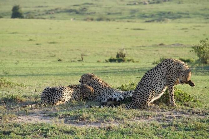 Private 2 Day Diani Beach to Tsavo East Tour - Tour Overview
