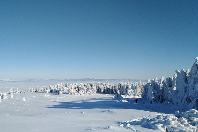 Private 2-Day Trip With Snowshoes - Itinerary Highlights