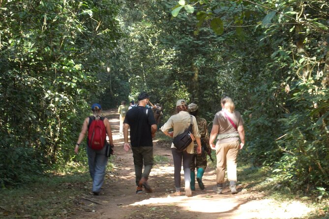 Private 2 Days Volcano Golden Monkey and Bwindi Gorilla Trek