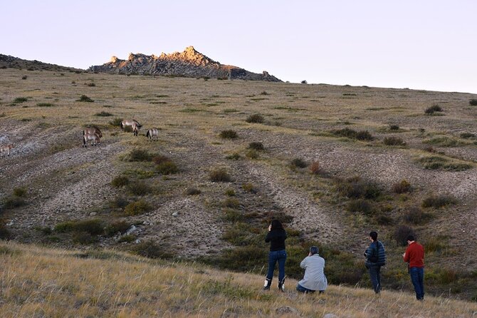 17 Best 3 Day Tours In Ulaanbaatar