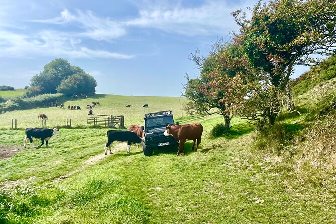 Private 4x4 Safari - Stonehenge, Sherborne Abbey, Dorset (8 Hour) - Tour Highlights and Itinerary