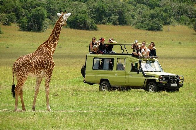 Private 5 Days Tour to Amboseli Tsavo West and Tsavo East National Park - Tour Details