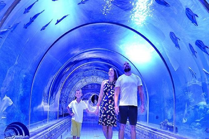 Private 5 Nights Cairo & Hurghada Tour - Tour Details