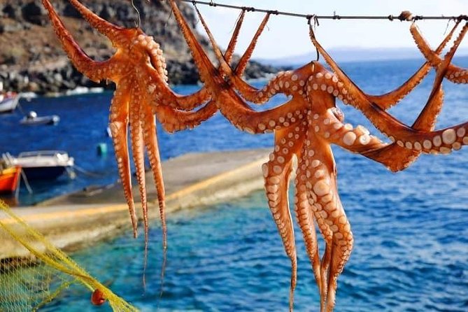 Private 5hrs Morning Trip to From Santorini to Volcano & Aspronisi - Inclusions