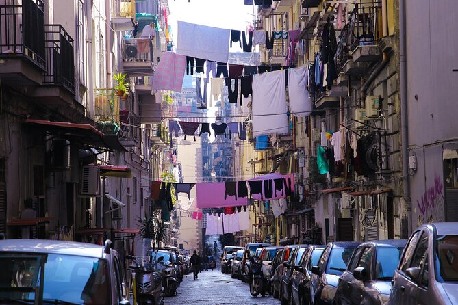 Private And Direct Transfer From Foggia To Naples, Local Driver - Additional Information