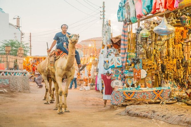 Private Aswan Camel Riding Adventure - Tour Details