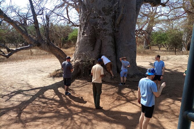 Private Bandia Wildlife Safari Day Trip. 2 for the Reservation