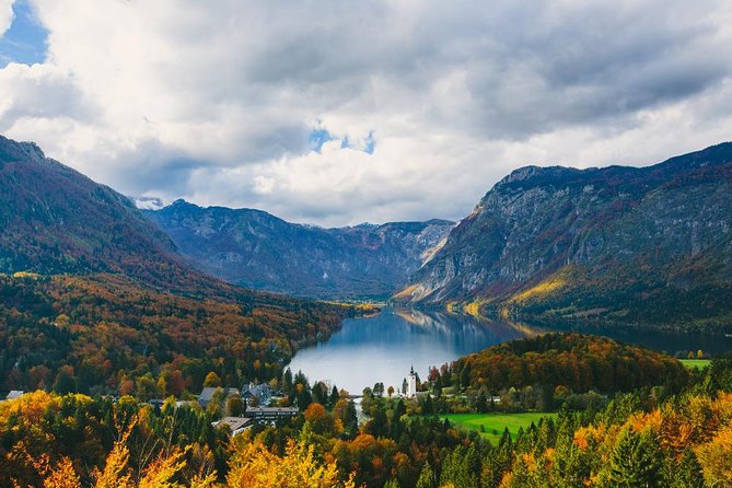 Private Bohinj & Vogel Tour From Bled - Tour Highlights