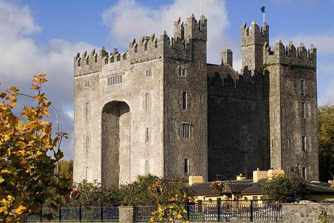 Private Cliffs of Moher Tour for Small Group From Limerick - Tour Details