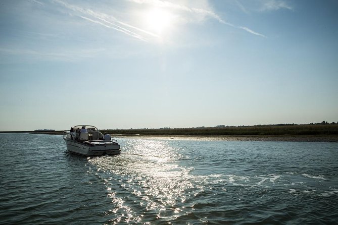 Private Cruise: Venice Unspoiled Lagoon - Unique Half-Day Private Cruise Experience