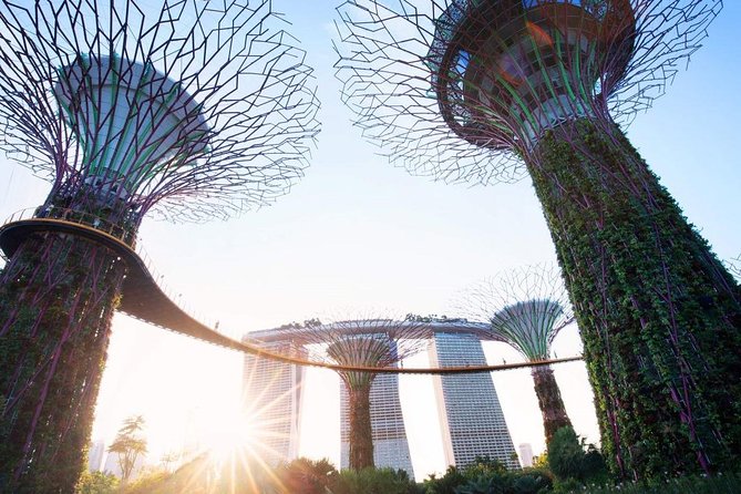 Private Customized Singapore Car Tour (Half Day or Full Day)
