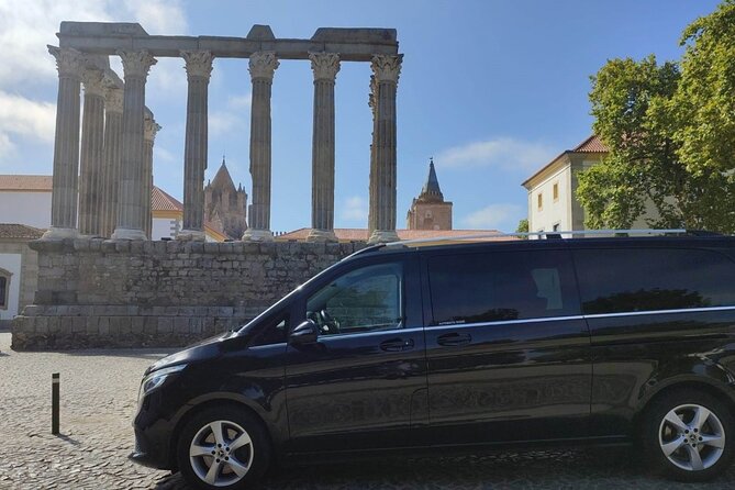 Private Day Tour Évora Cork Wine Temple of Diana and Bone Chapel