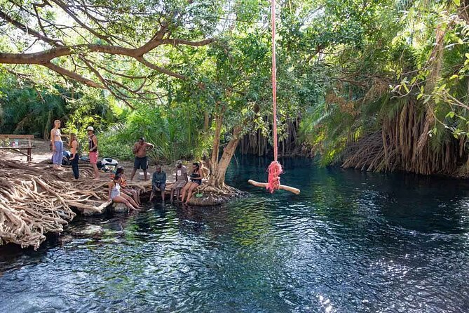 Private Day Tour in Serval Wildlife and Kikuletwa Hot Spring - Price and Inclusions