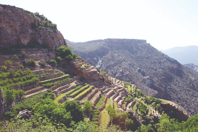 Private Day Tour of Omans Natural Wonders in Nizwa, Jabel Akhdar
