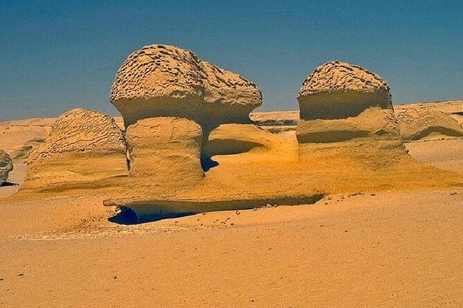 Private Day Tour To Fayoum Oasis. - Tour Highlights