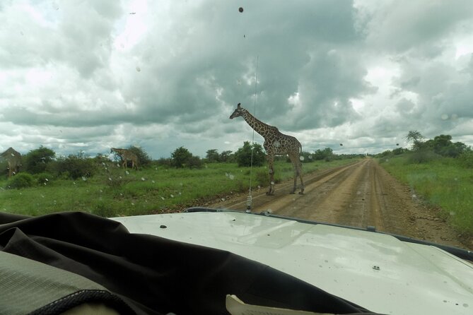 Private Day Trip at Arusha National Park - Tour Inclusions