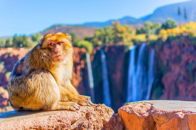Private Day Trip From Marrakech to Ouzoud Waterfalls With Lunch - Trip Overview