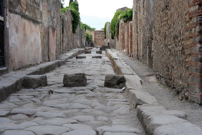 Private Day Trip From Naples to Amalfi Coast and Ruins of Pompeii - Tour Highlights