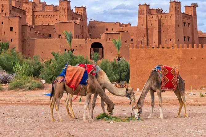 Private Day Trip to Ait Ben Haddou From Marrakech, With Pickup - Tour Highlights