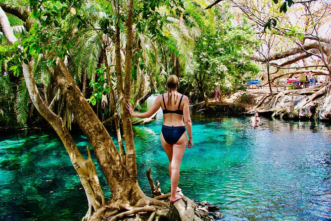 Private Day Trip to Kikuletwa Hot Springs in Kilimanjaro