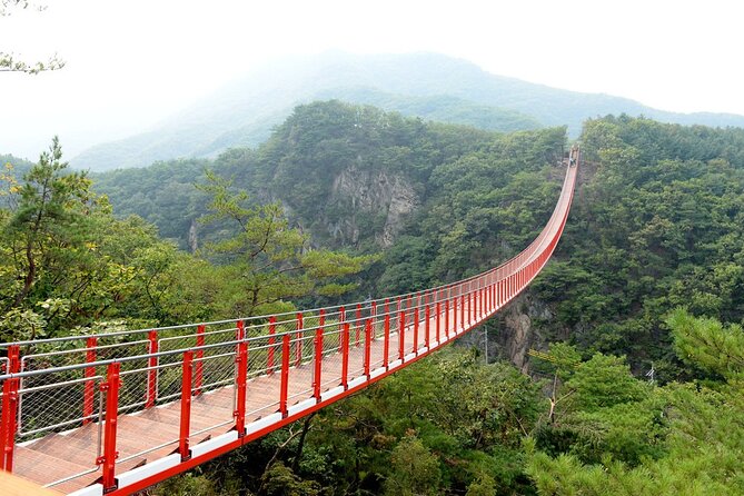 Private DMZ Peace Tour: 3rd Invasion Tunnel(Monorail) and Suspension Bridge - What To Expect