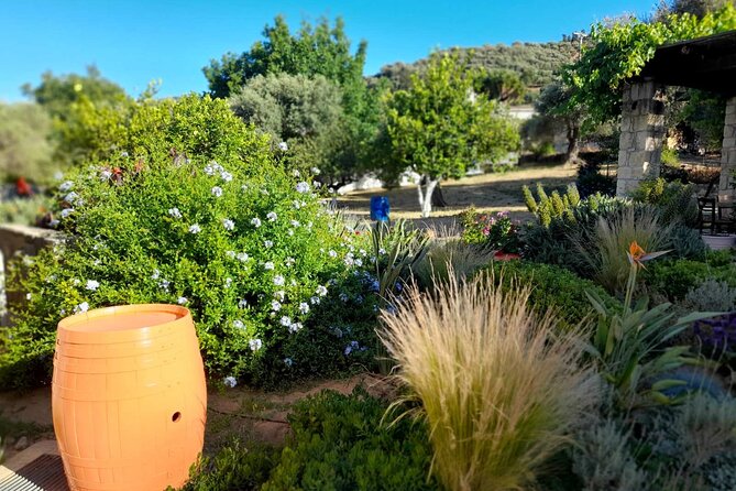 Private Exclusive Manousakis Winery and Vineyard Tour in Chania - Tour Highlights