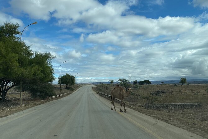 Private Full-Day East Oman Tour From Salalah With Lunch - Pricing and Booking