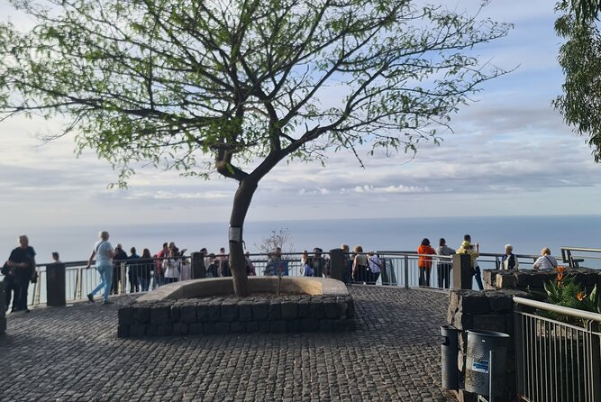Private Full Day Island Tour in Madeira - Provider and Price
