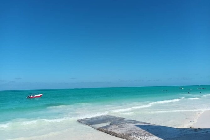 Private Full Day Jozani, Paje Beach and Rock Restaurant Tour - Inclusions