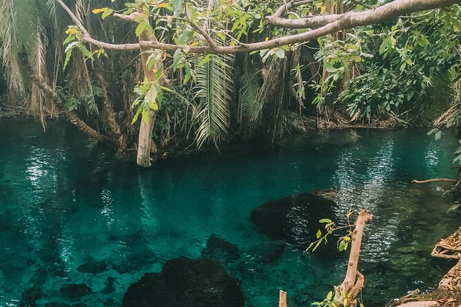 Private Full-Day Materuni Waterfalls and Kikuletwa Hotspring - Itinerary Details