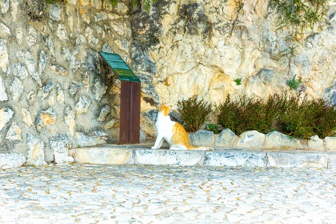 Private Full Day Tour by Luxury Car in Benidorm and Guadalest - Luxury Car Experience