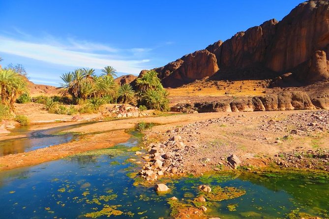 Private Full-Day Tour of Ouarzazate and Oasis Fint - Meeting and Pickup Information